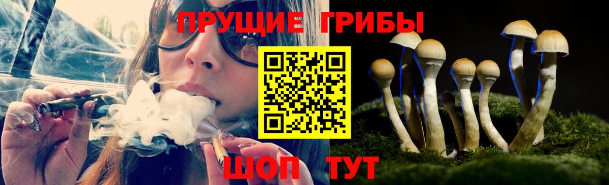 Ливны  где найти наркотики  Вход с VPN  Псилоцибиновые грибы Psilocybine cubensis 